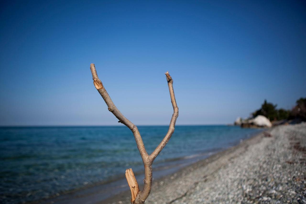 Ξενοδοχείο Κύματα Ξενοδοχείο Πλαταμώνας Εξωτερικό φωτογραφία